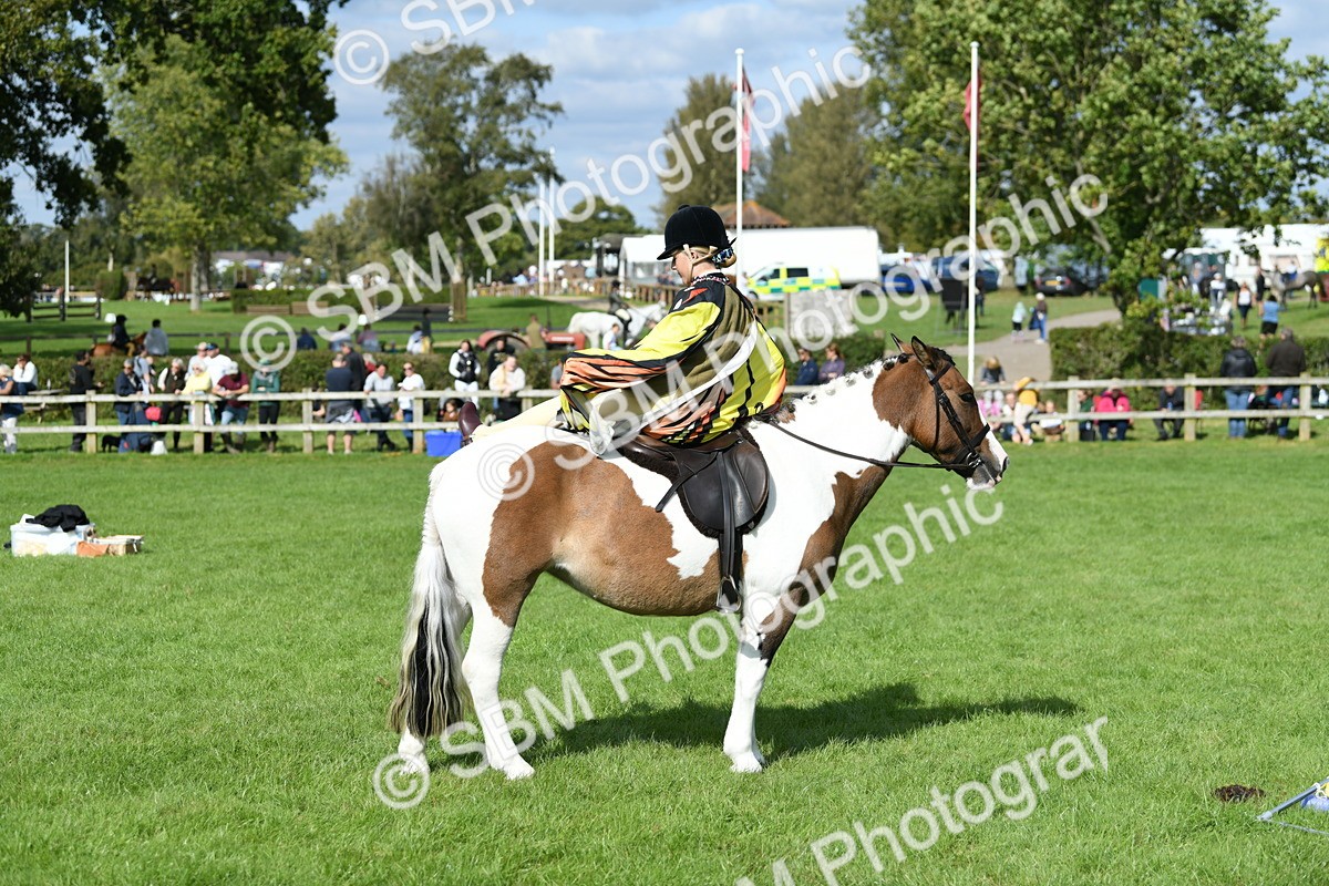SBM_47128 - S12 - Family Horse & Pony