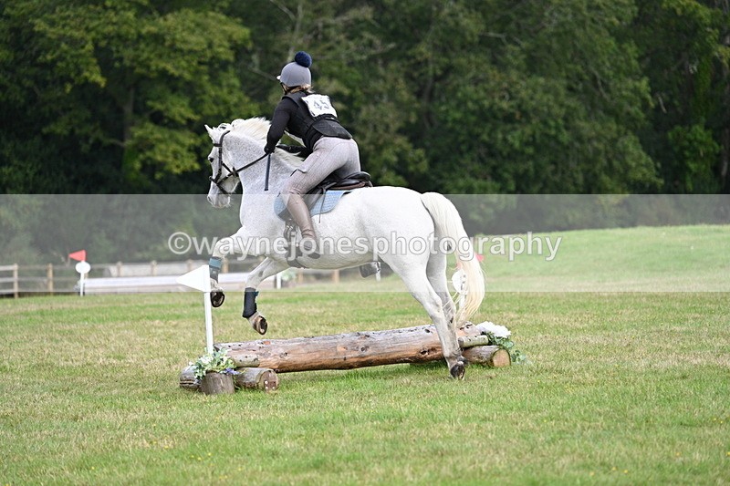 WJ7_7971 - 40cm Time 10:49 to 11:18