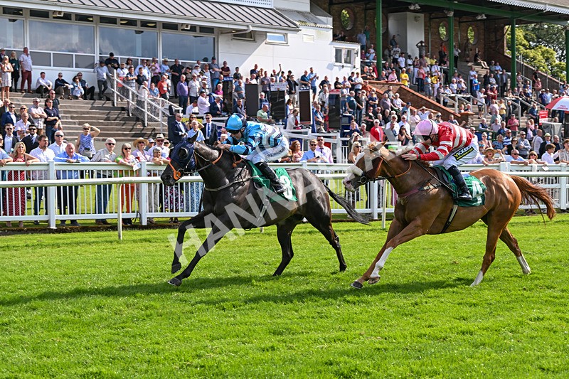 170724-Race 7-Yazaman-0571 - Race 7