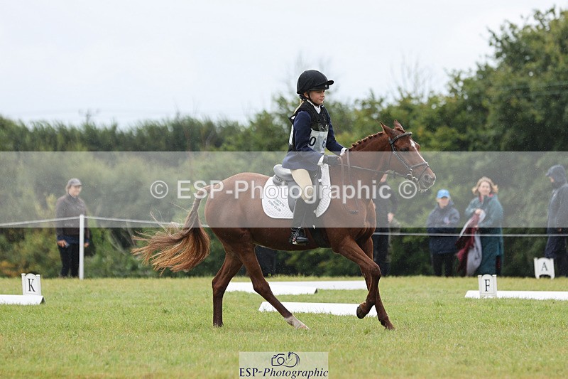 240824X-103120-22253 - D70 Section C and D 9.30 to 11.00