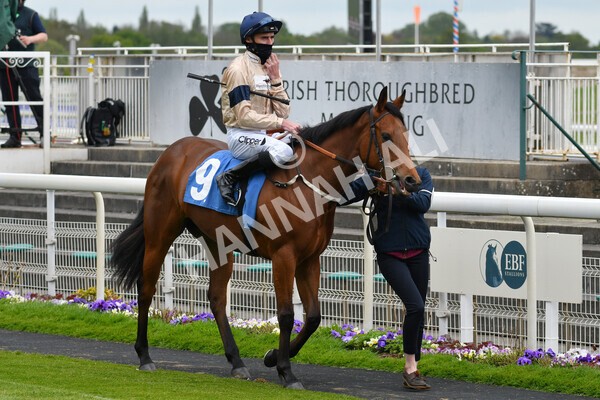 yr14052021r1-3 - Race 1 1.40pm Langleys Solicitors British EBF Marygate Fillies' Stakes