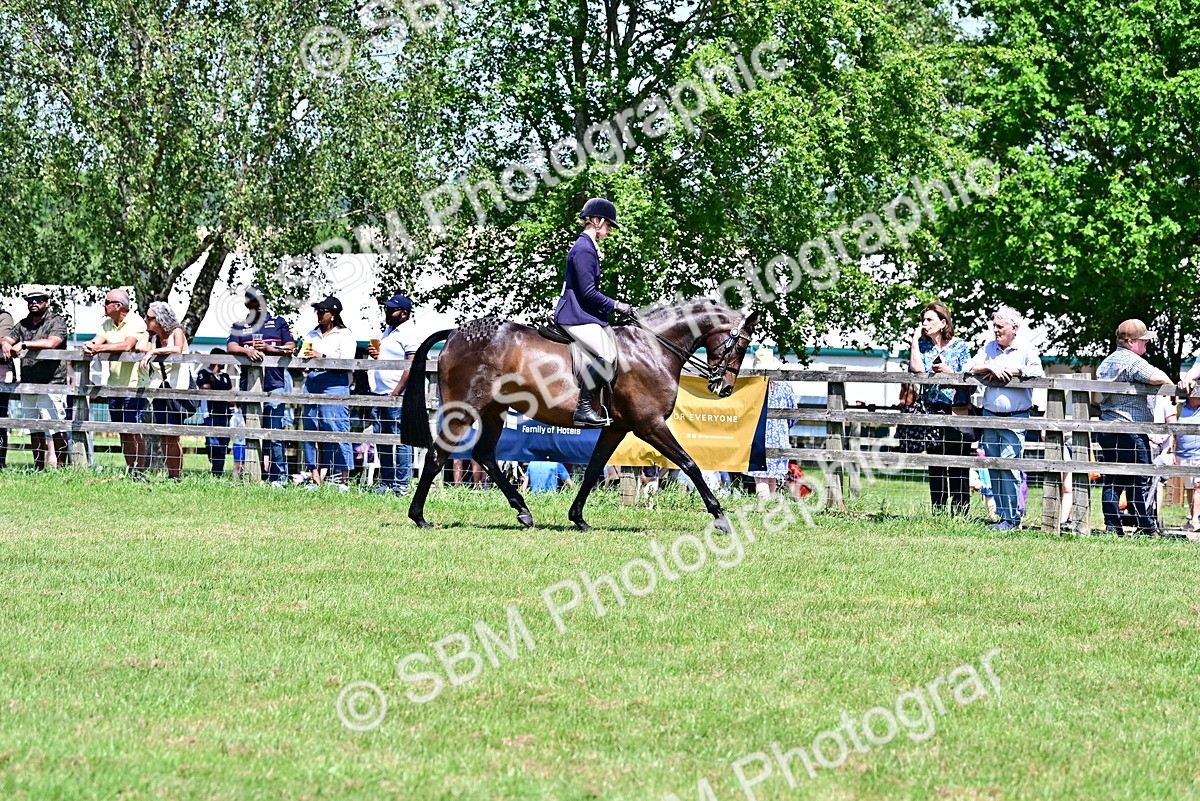 SBM_17381 - Class 95-97 - BSPS LHS Performance Ponies