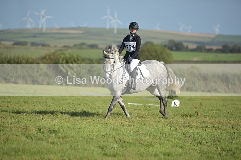 RAY_7393 - Class 2B: Trekenning Open: Dressage