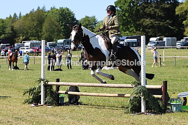 IMG_4101 - Working Hunter