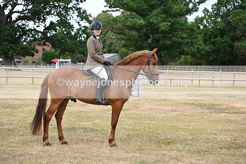 WJ6_3924 - Class 9 Tack & Turnout