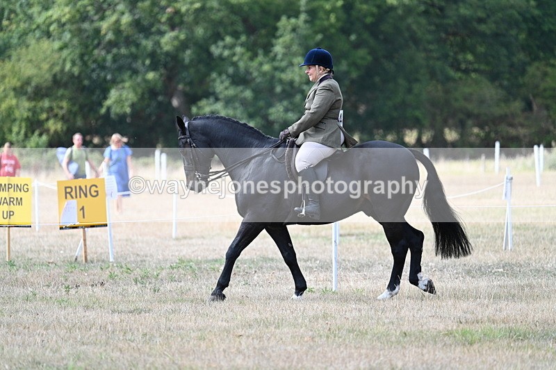 WJ7_5769 - Class 13 Ridden Veterans
