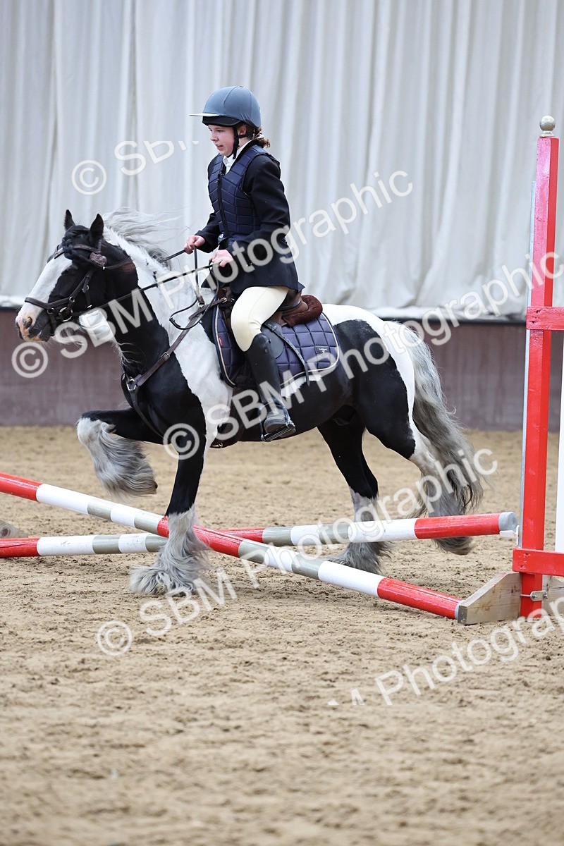 SBM_006980 - Class 1 - 40cm showjumping
