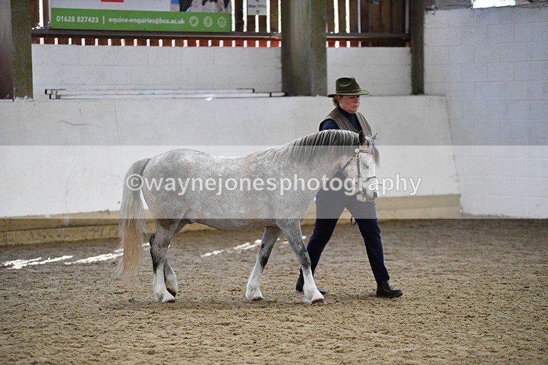 WJ5_5400 - Class 4 In hand M&M - small breeds