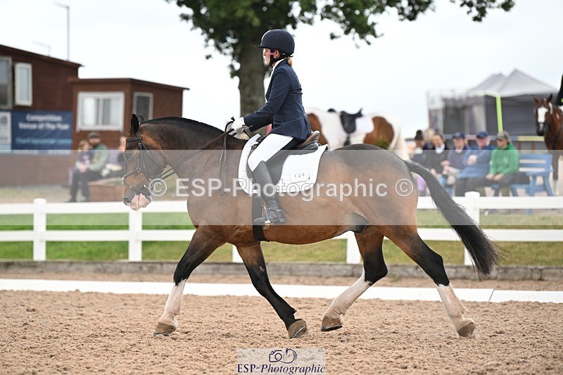 250705-175533-03116 - N3 Section BDNOV3 15.55 to 17.19