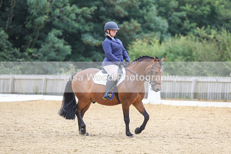 3E7A5169 - Class 2: Intro 4 2024 section B