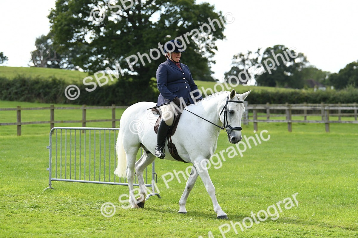 SBM_46703 - S12 - Family Horse & Pony