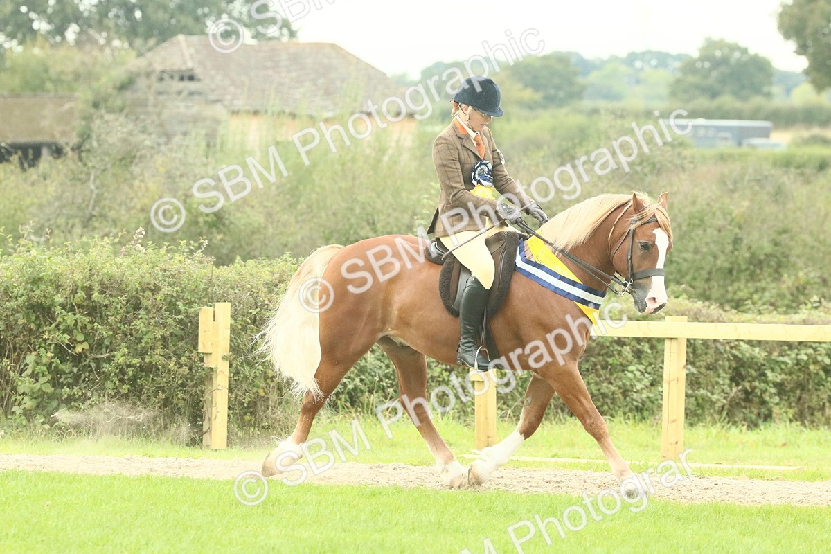 SBM_75155 - Super Supreme Championship