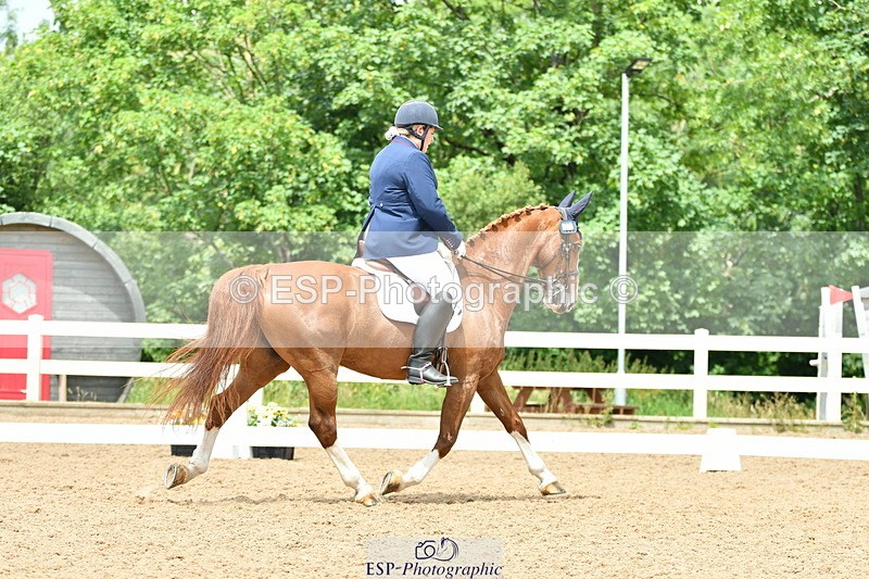 230701A-133908-06332 - Cls 12, 15 + 19 Music Medium, Adv Medium + Inter I