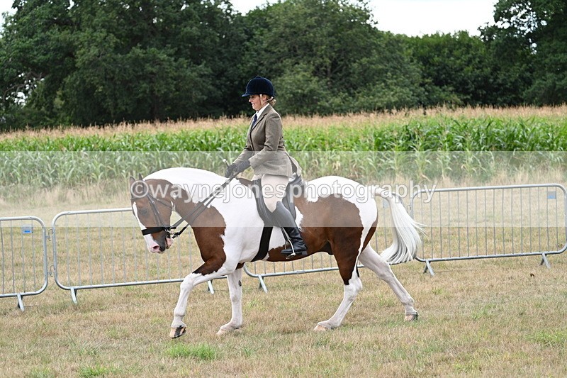 WJ7_5100 - Class 12 Ridden Cob