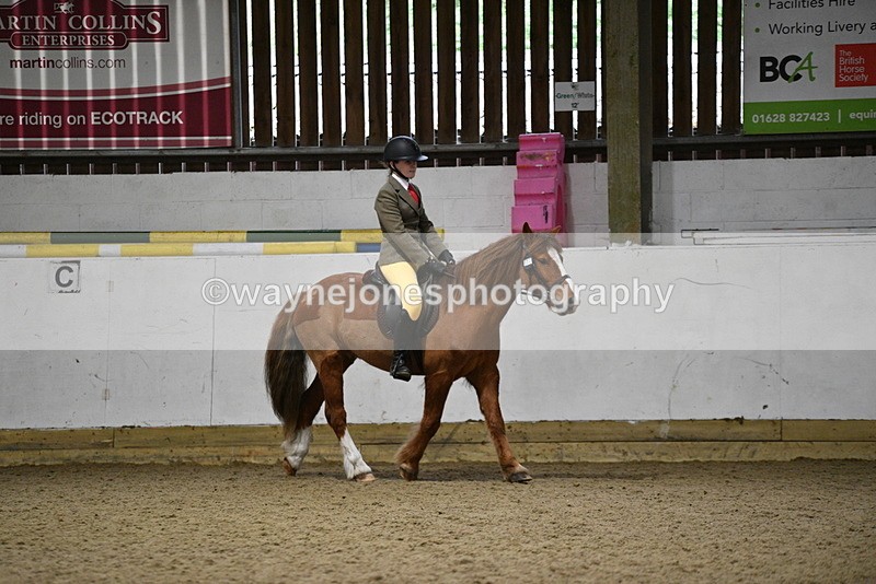 WJ5_8201 - Class 14 Novice Ridden/Rider