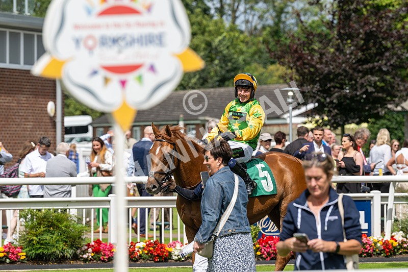 260724-Graham Lee Stable Staff Stakes-3431 - Graham Lee Stable Staff Stakes
