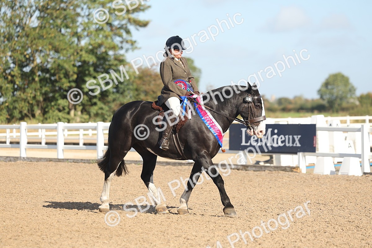 SBM_22260 - Class 802 - Ridden Groom Helpers Class