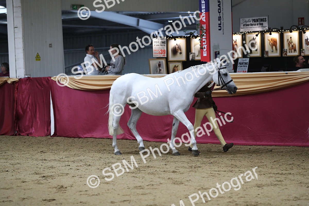 SBM_05086 - Class 8R- Regional -IH Veteran