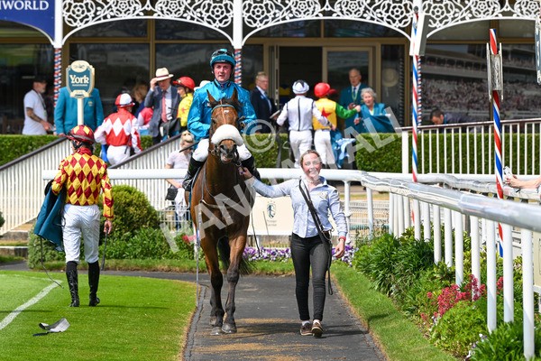 310525-Race 1-Ingleby Archie-8617 - Race 1 1.30pm William Hill Keep Your Raceday Positive Handicap