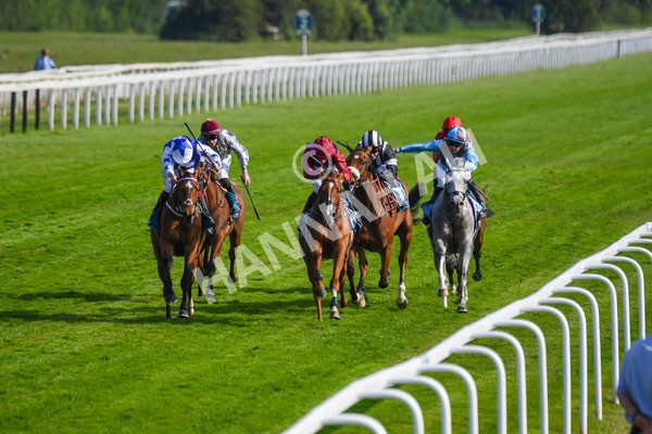 160623-Race 7-Diamond Bay-0758 - Race 7 5.21pm Constant Security Handicap