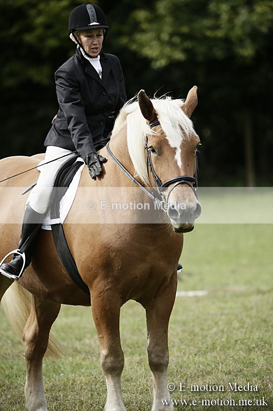 BVR080918 149 - BVRC Novice Dressage & CR 08/09/18