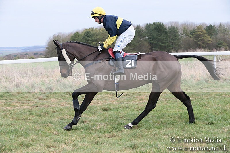 PtP 060119 202 - Larkhill Racing Club - Point-to-Point- 06/01/2019