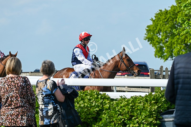 040526-Race 5-Copper Knight-2646 - Race 5