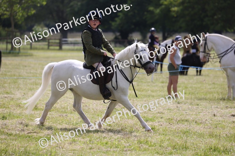 20260614-0726 - Class 20 - Beginners Working Hunter Pony