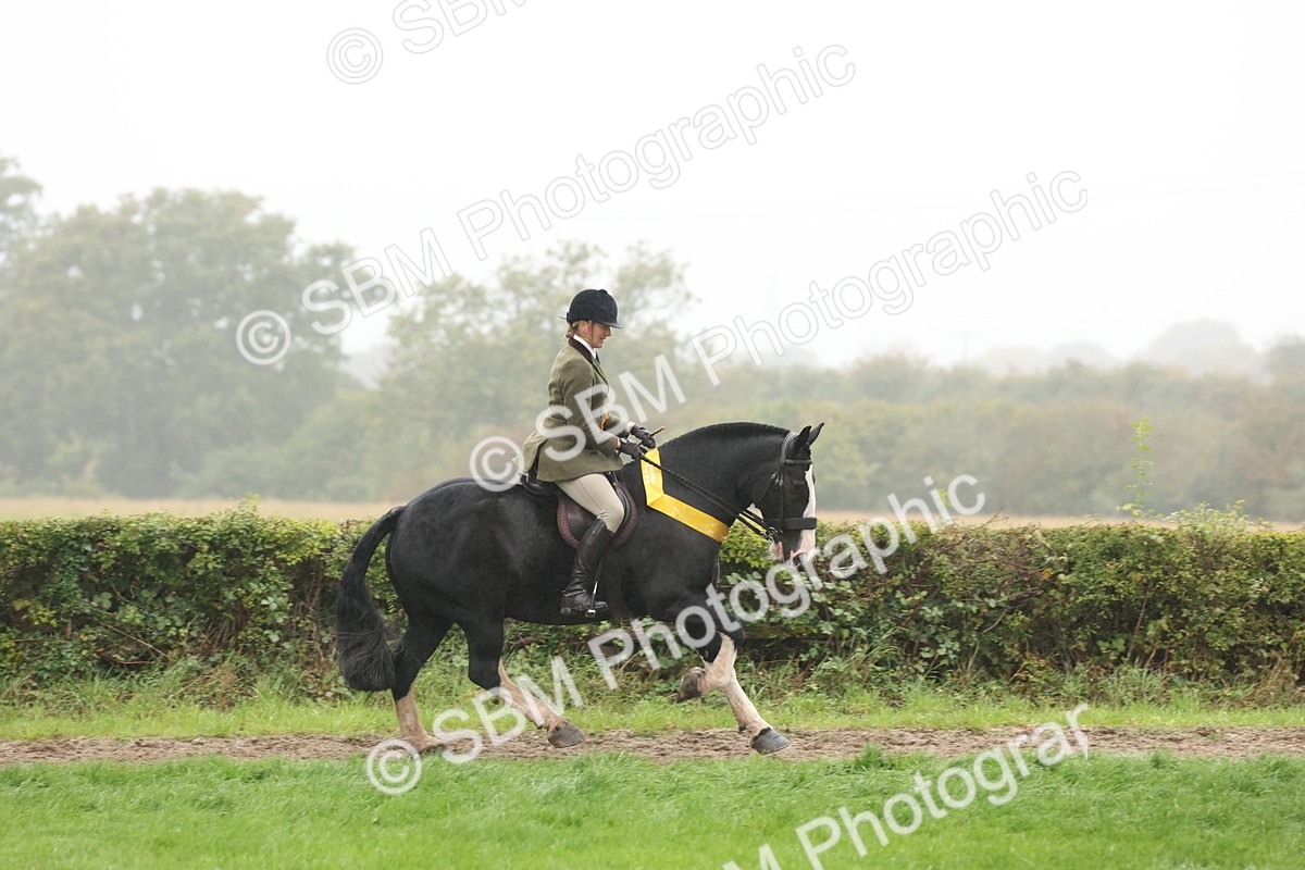 SBM_72914 - Ridden Horse Supreme Championship