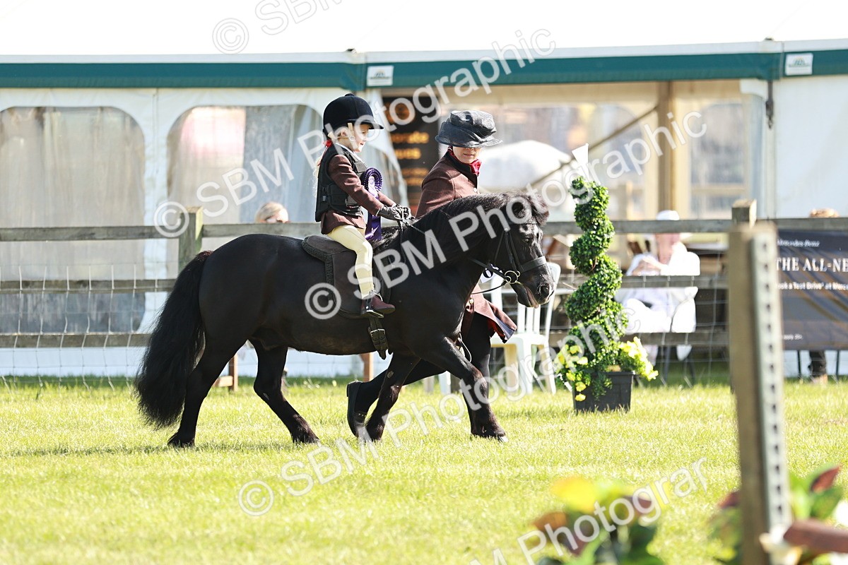 SBM_11357 - Class 106-107 - BSPS LIHS Working Sports Pony