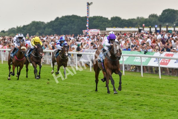 170623-Race 5-Twilight Romance-7175 - Race 5 4.15pm Reg Griffin Appreciation ebfstallions.com Maiden Stakes