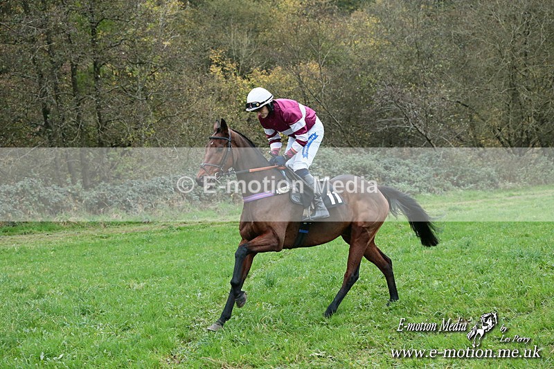 PtP 091124  558 - Knightwick Races Point-to-Point 09/11/24