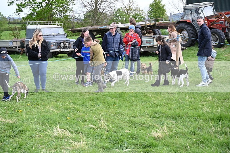 WJ6_8520 - Class 6 Best Rescue