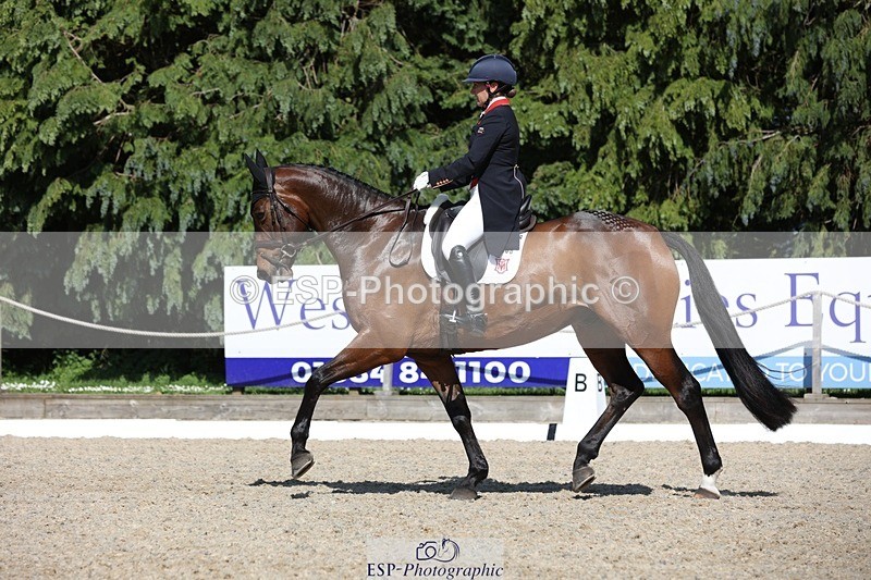 230526-160518-07752 - 168-PARKFIELD_ARTIE_BLOU-Laura_Collett-WEDTrotUp+DR