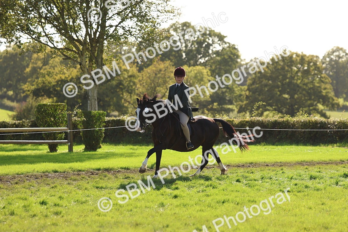SBM_52455 - S13 - Pony Club Pony