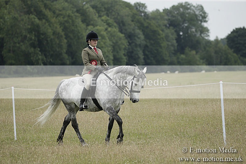 B230619-0923 - Bourne Valley Riding Club Summer Show 23/06/19