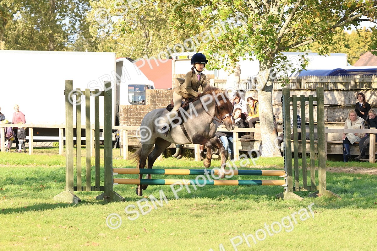 SBM_52642 - S13 - Pony Club Pony