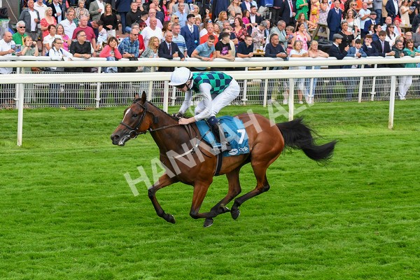 280723-Race 5-Midnight Mile-0547 - Race 5 7.15pm British EBF 40th Anniversary Lyric Fillies' Stakes