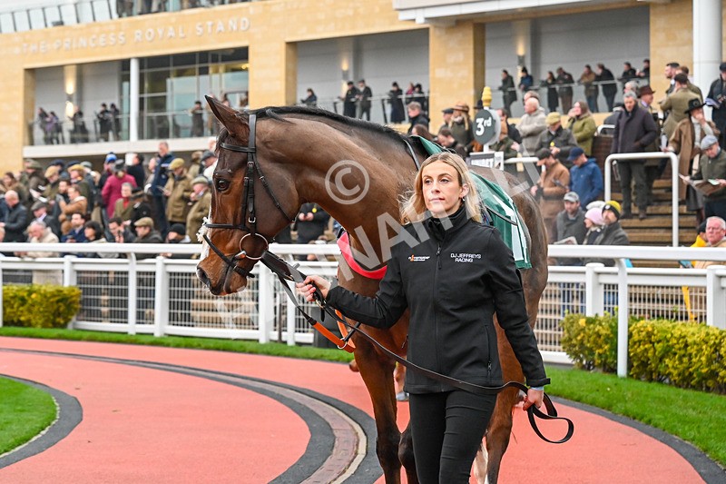 131224-Race 3-Lively Citizen-9421 - Race 3