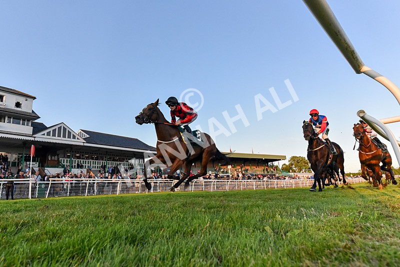 300525-Race 6-Glory Hyde-3764 - Race 6