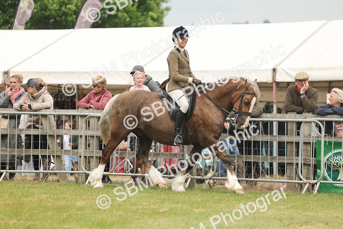 SBM_07180 - Class 76-77 - Ridden M&M Welsh Ponies
