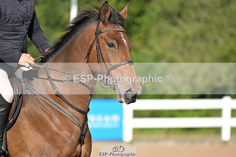 240912A-094824-00789 - Cls 8 Snr British Novice and 90cm Open