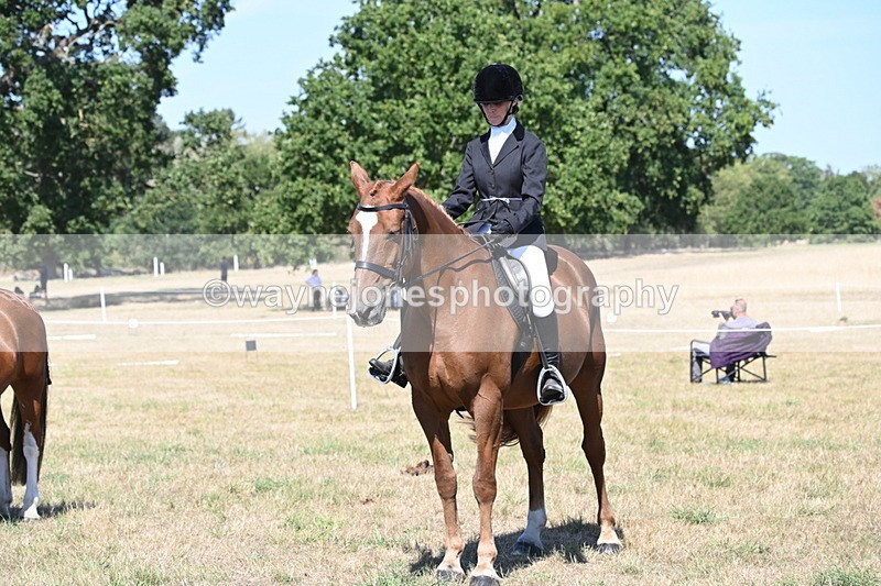 WJ6_8431 - Class 37a Best Loan Pony Ridden