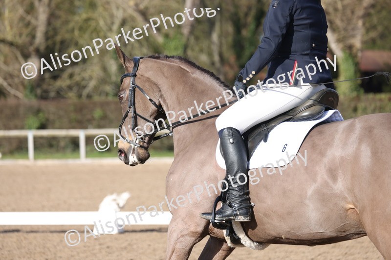 20260128-0545 - Class 4 - Novice 5