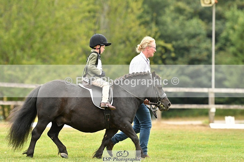 250820A-113532-05158 - 11am to 12