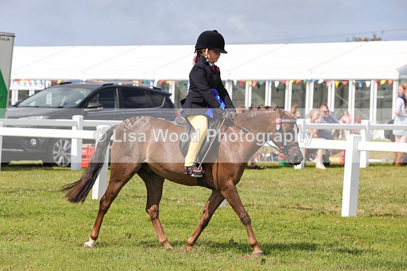 1X9A3806 - Plaited Mini Ridden Championship