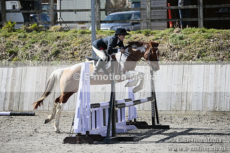 BVRC SJ 170319 382 - Bourne Valley Riding Club Showjumping 17/03/19