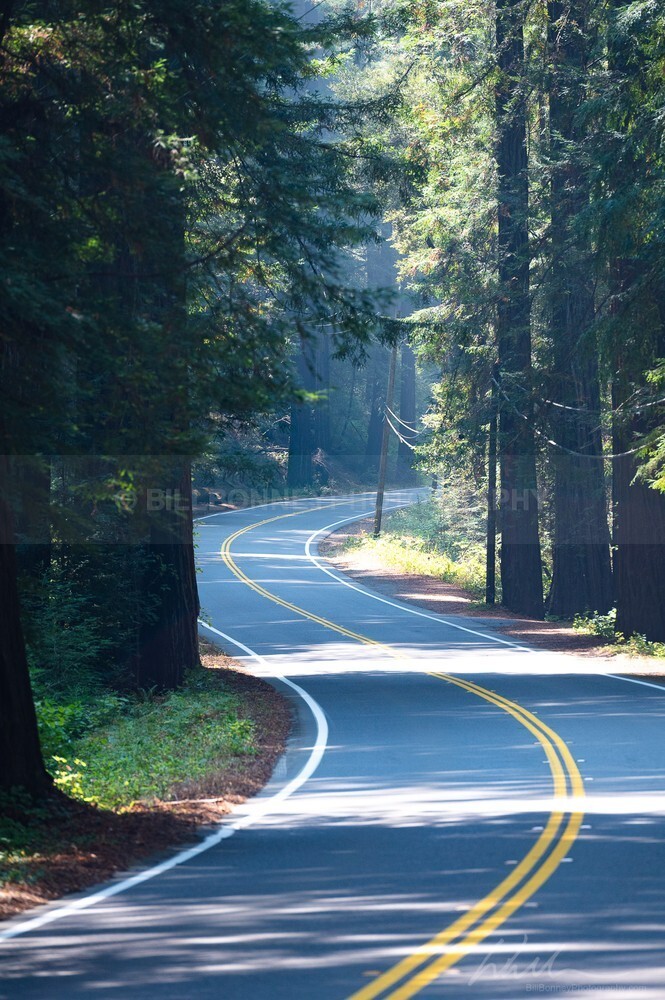DSC_1596 - Roads