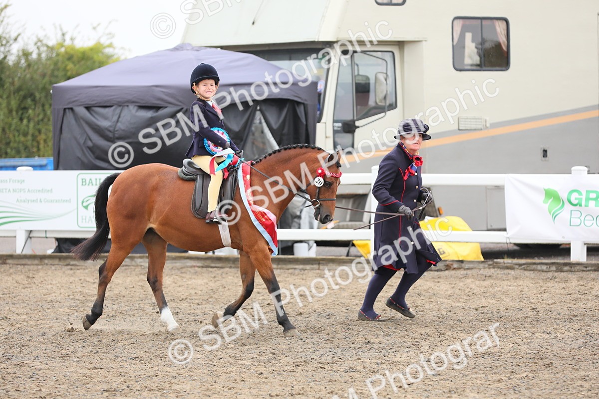 SBM_21902 - Class 806 - Young ridder 10 Yr & Under