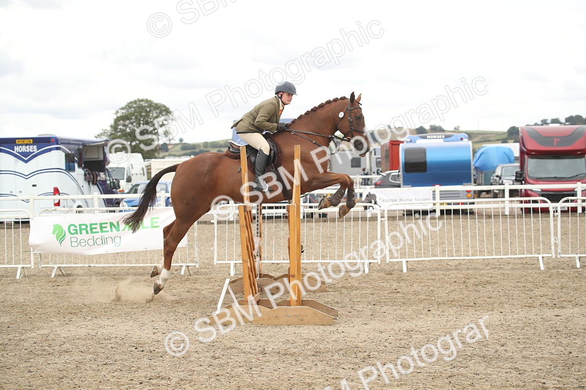 SBM_18278 - Class 509a - Working Veteran - 80cm (15-19)